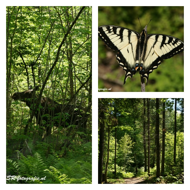 Mauricie Park Canada