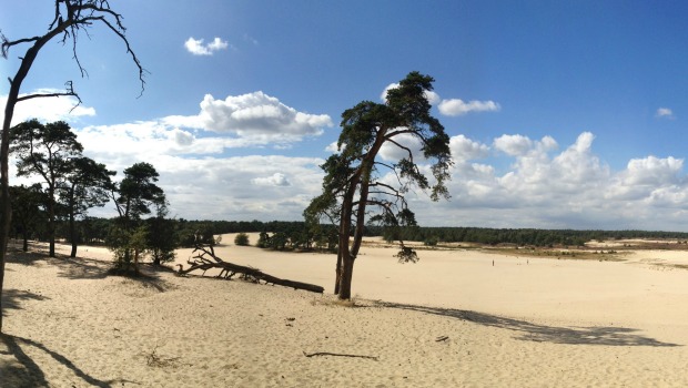 Loonse en Drunense Duinen