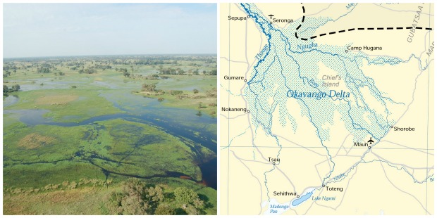 Okavango Delta - collage