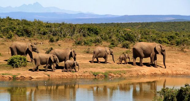 vaccinaties in Zuid-Afrika