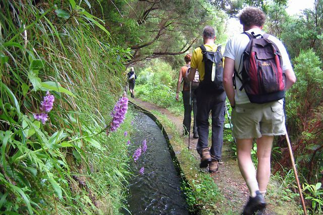 Wandelen in Madeira