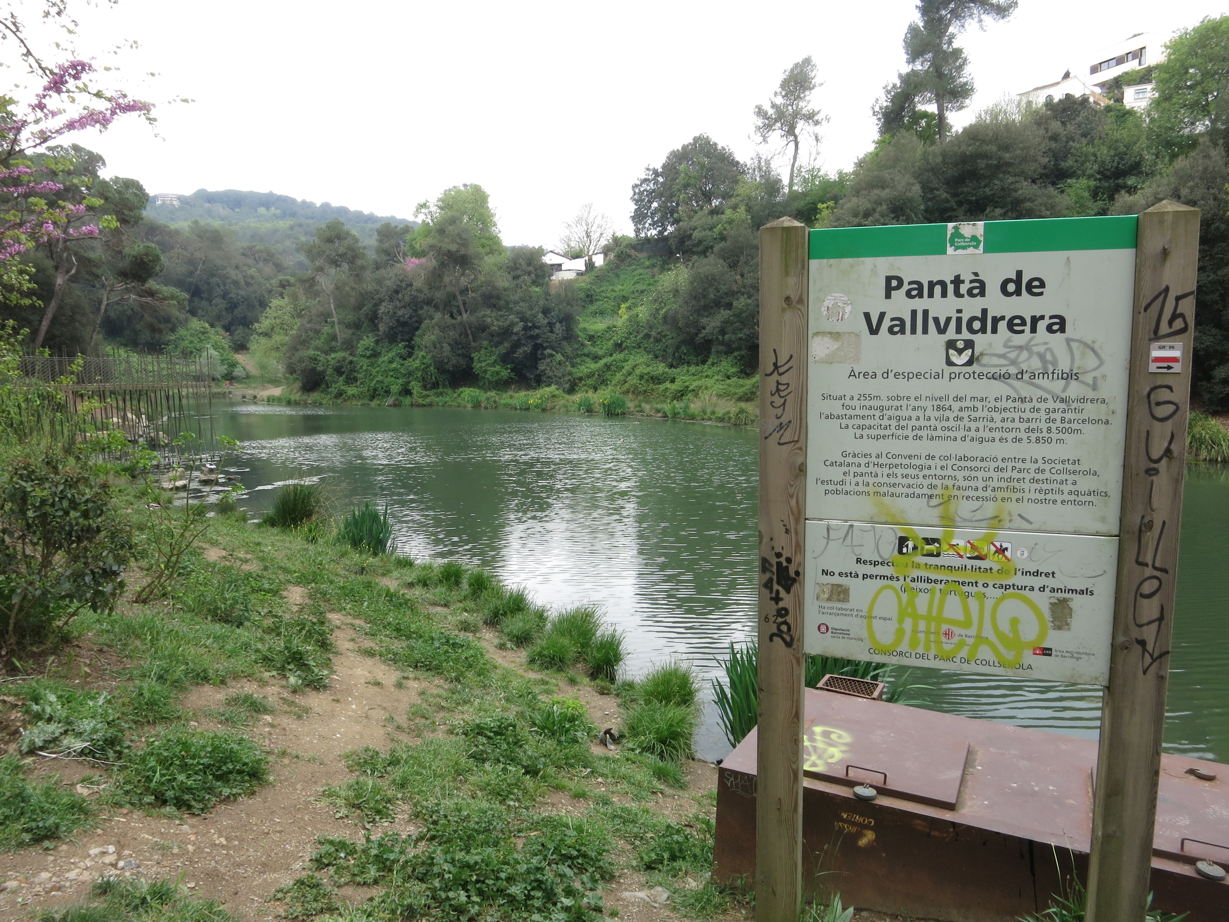 Panta de Vllvidriera