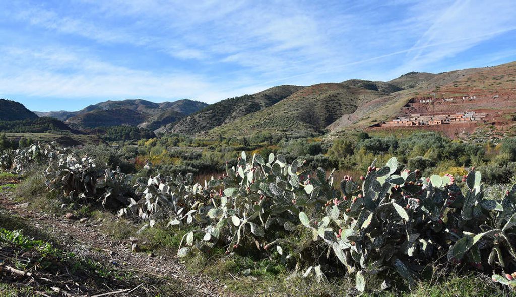 marrakech-tips-atlasgebergte