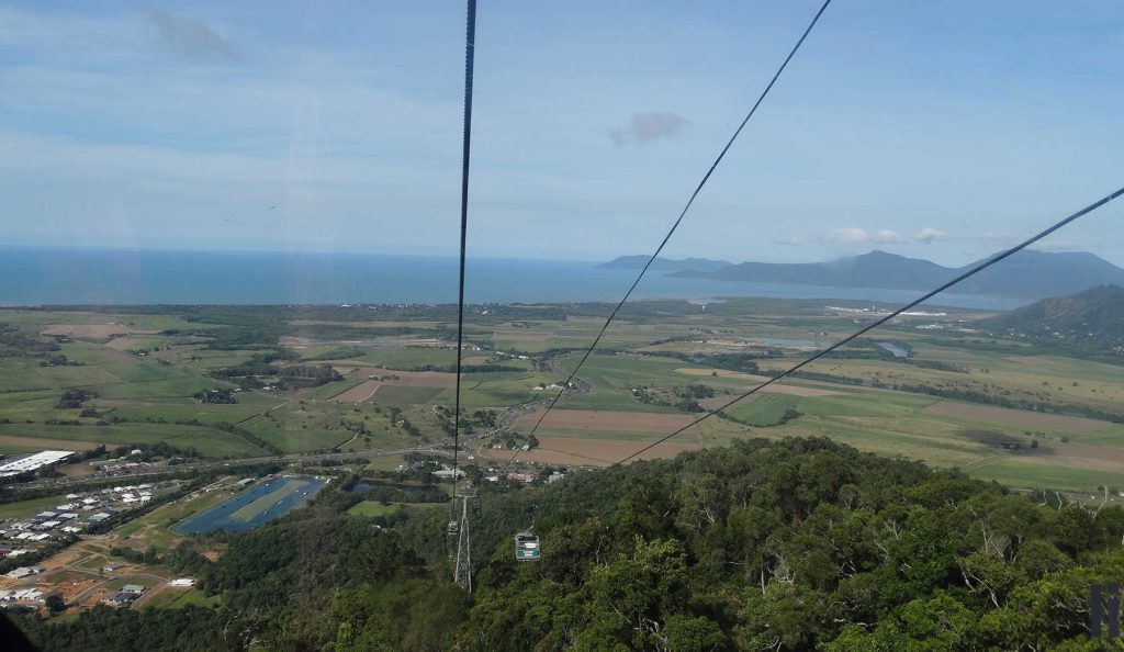 hoogtepunt-australië-skyrail-rainforest