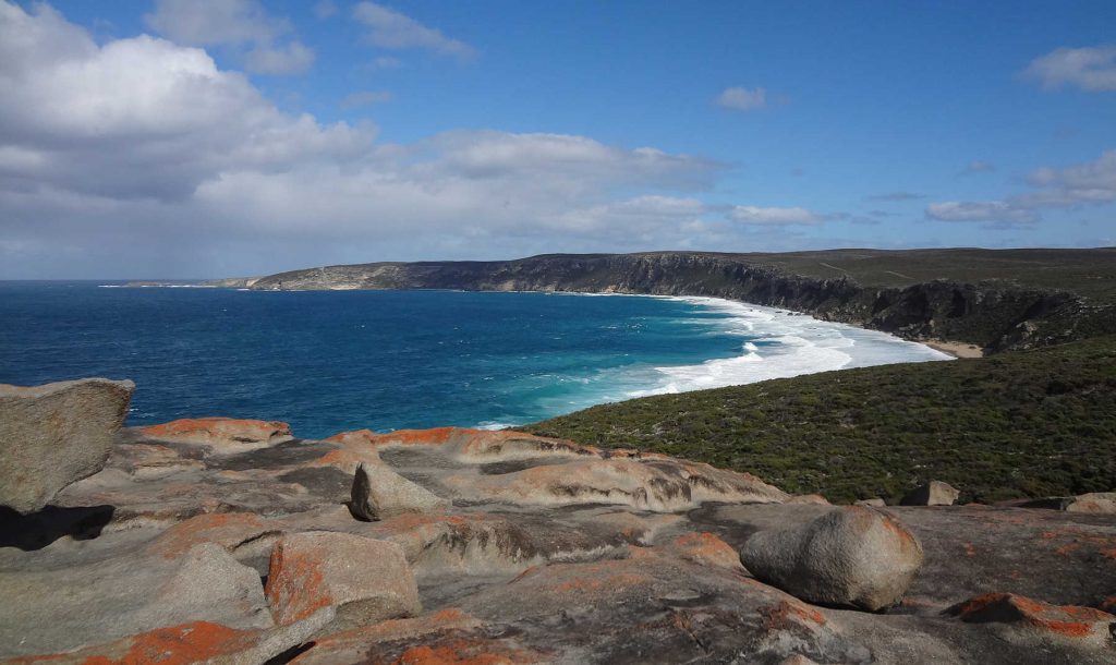 hoogtepunt-australië-kangeroo-island