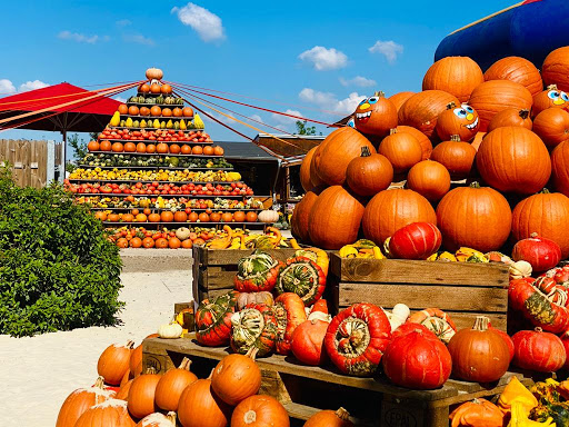 leukste plekken in Nederland: pompoen markt