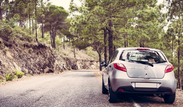 Rondtrippen Nederland kerstvakantie 2020